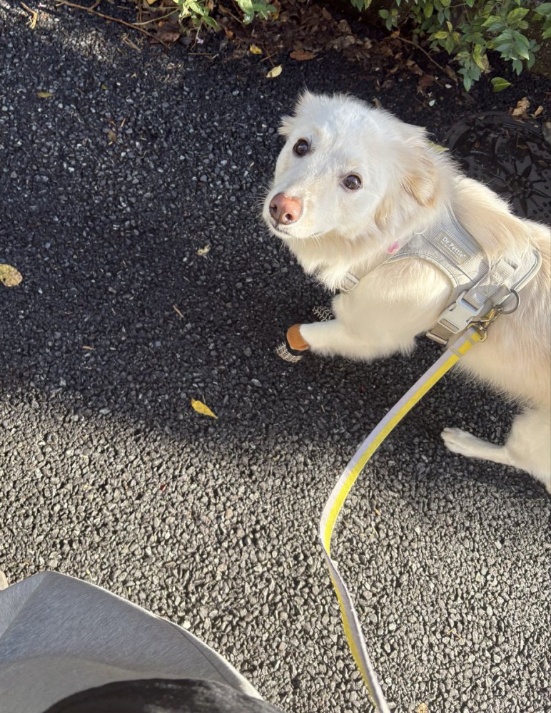 工事現場の横を