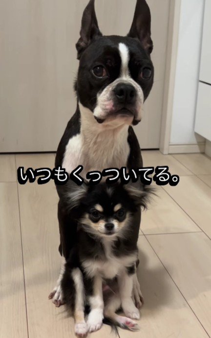 なくてはならない存在に