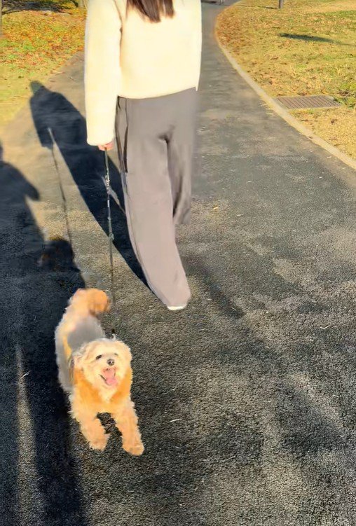 お散歩中のチャックくん