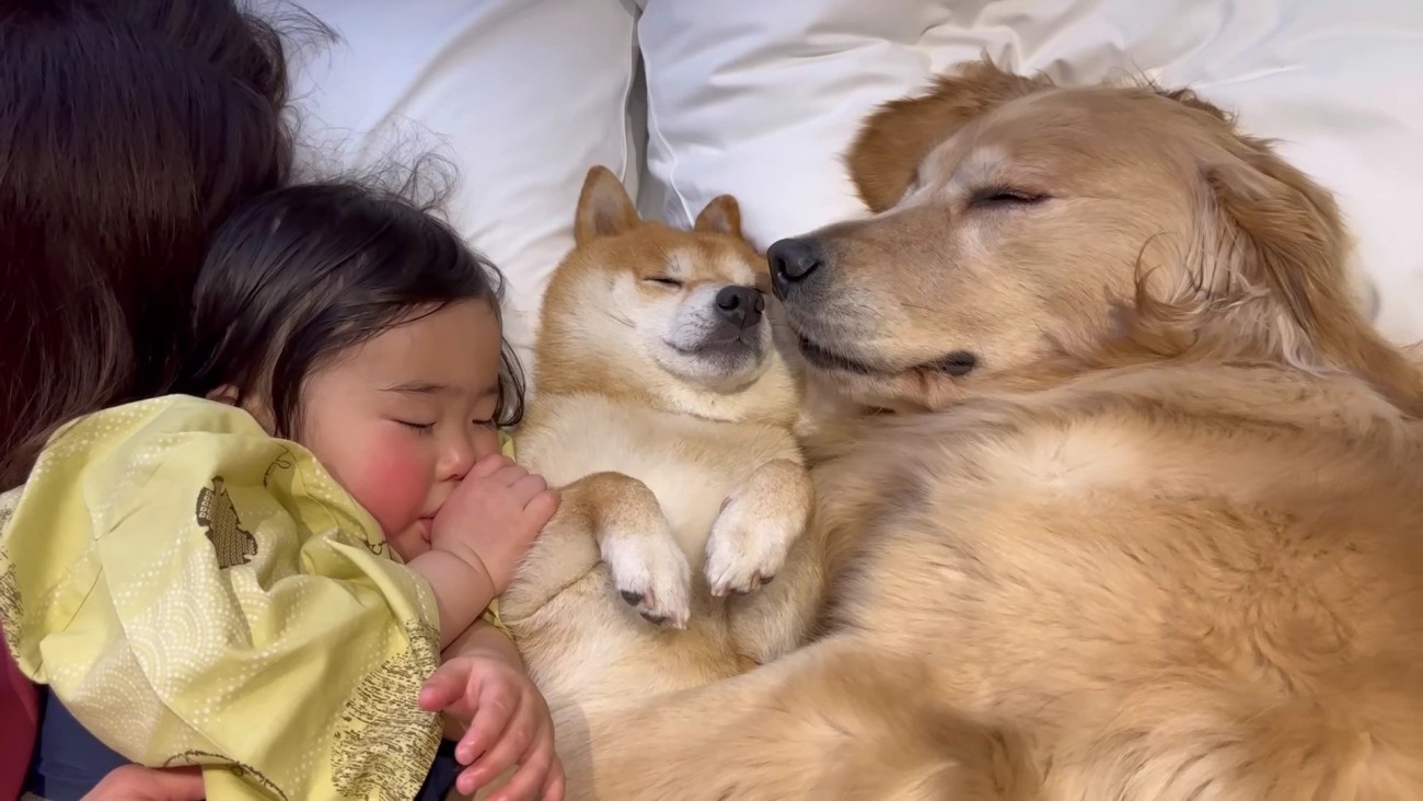 並んでスヤスヤ…