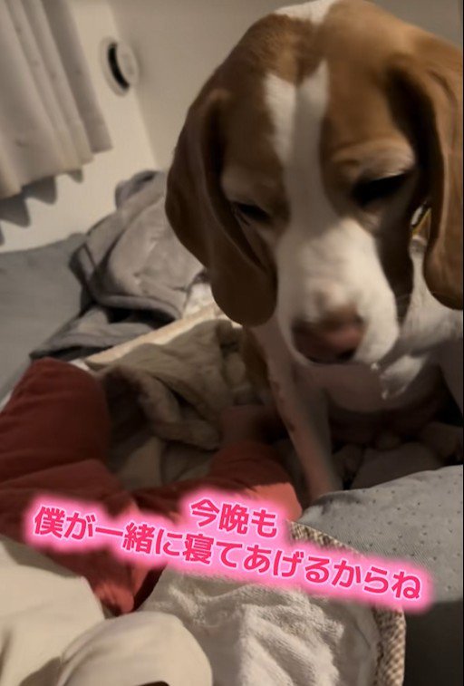 優しく見守り続ける姿に感動♡