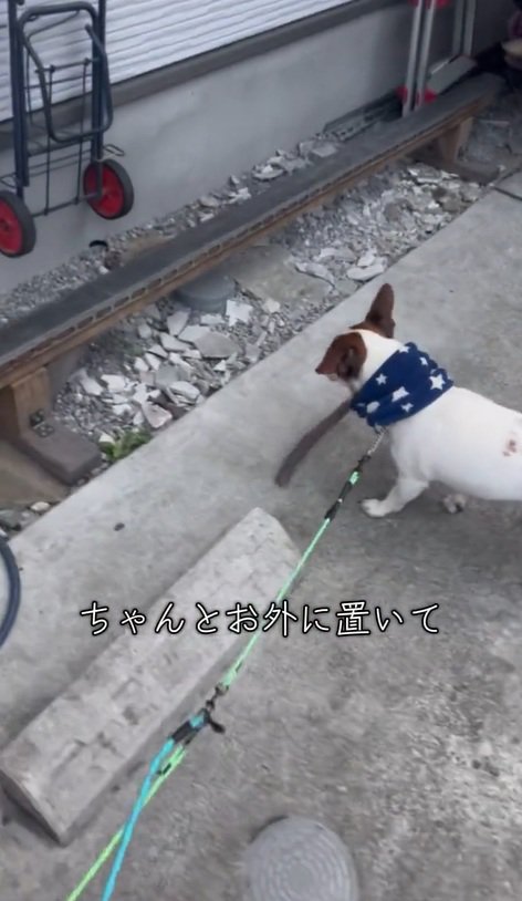 棒を口から離すバディくん