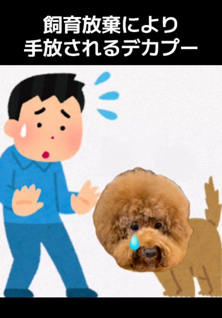 生後4ヶ月で飼育放棄