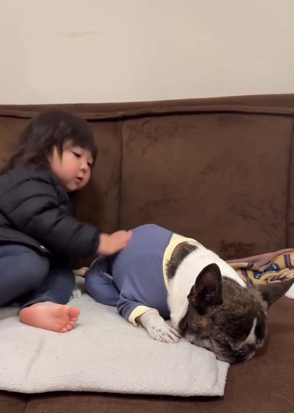 散歩拒否の丸男くん