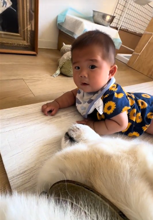 カメラ目線の赤ちゃん