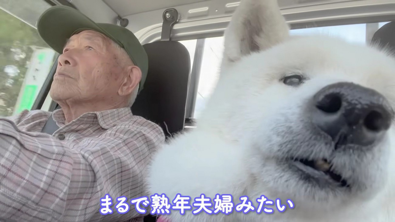 「どこに行くのかな〜」
