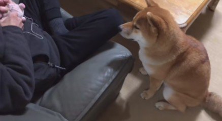 縫ってくれた♪