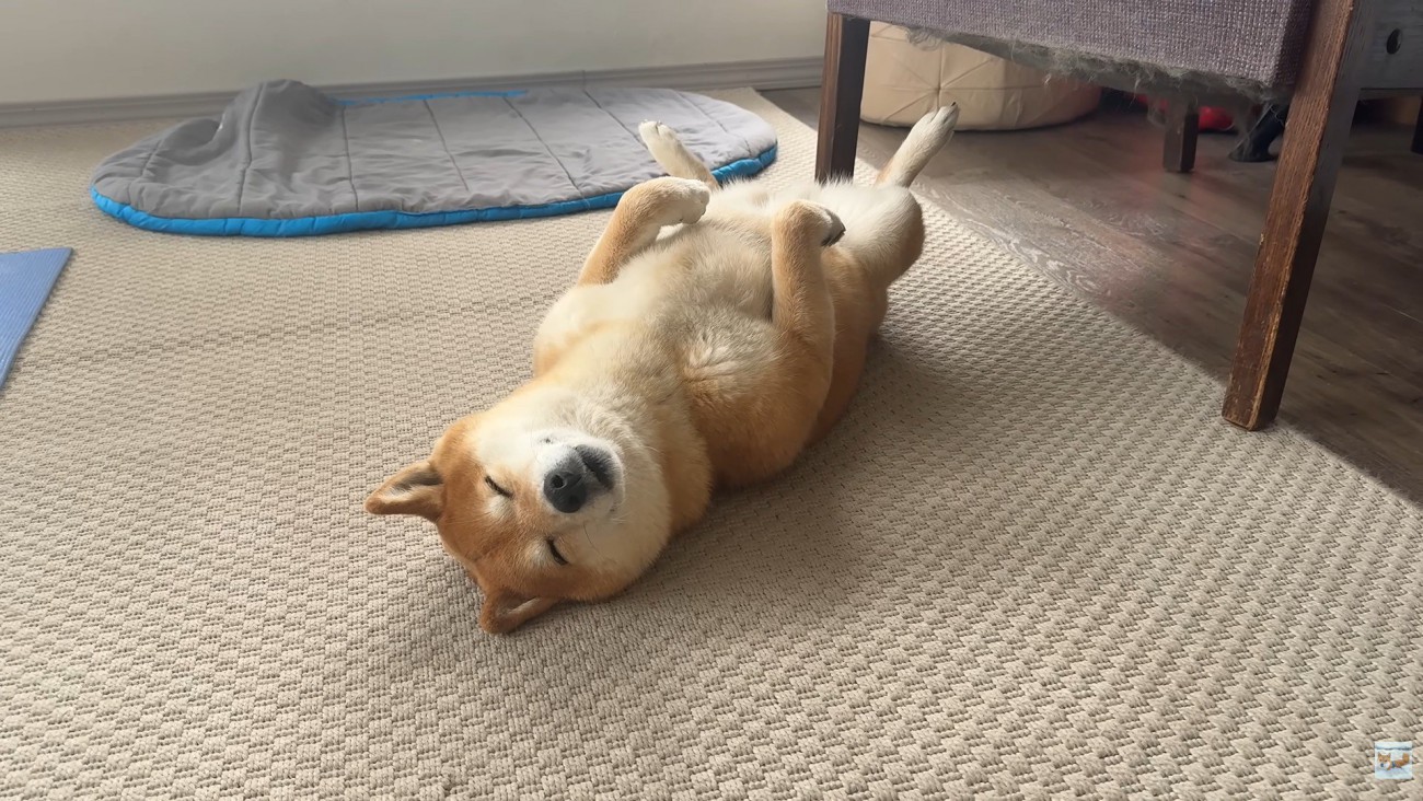豪快かつ美しい寝姿！