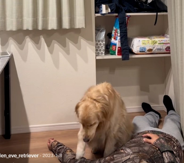 温もりを確かめるイヴちゃん