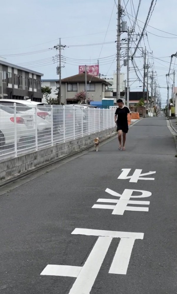 「いまそっちいく！」