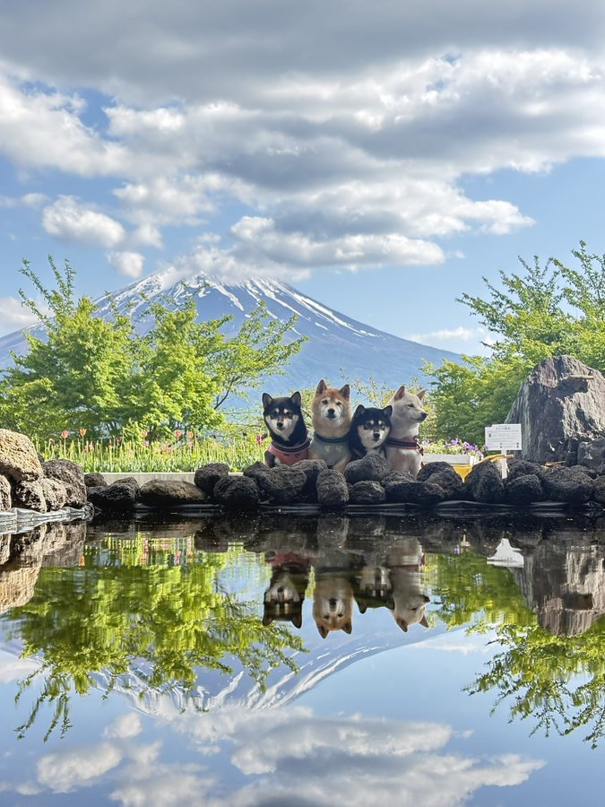 日本の宝