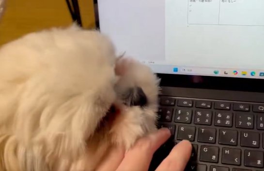 パソコン