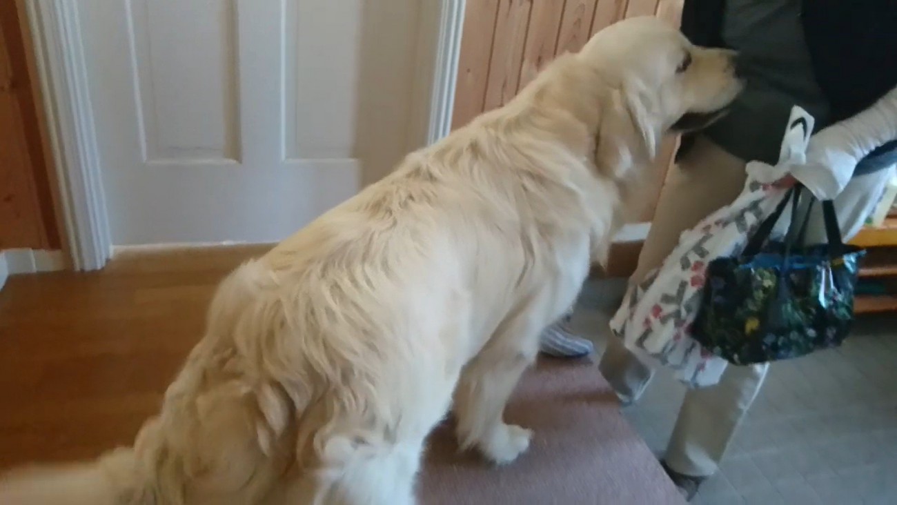 喜んでお出迎えしてくれるように！