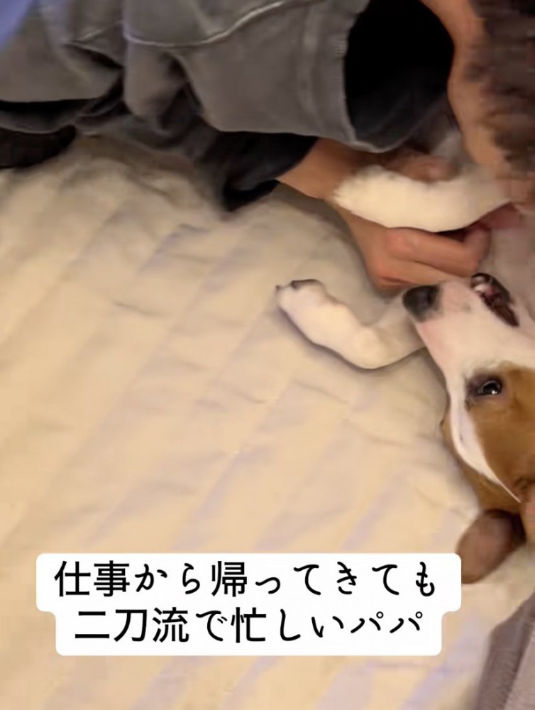 ジャックさん「おかえりぃぃ」
