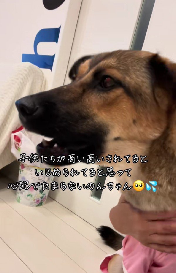 クンクンと鳴き始めた