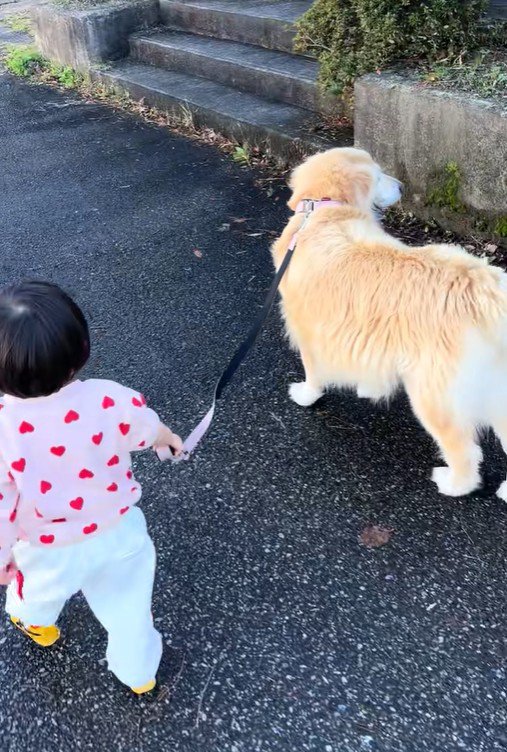 女の子とベルちゃんのお散歩3