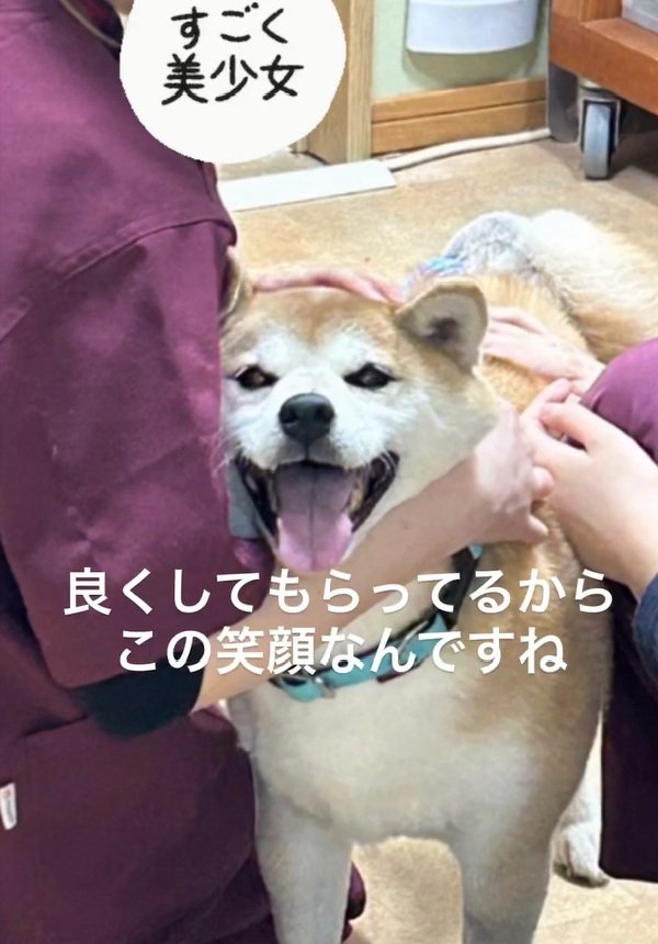 良くしてもらったまるちゃん