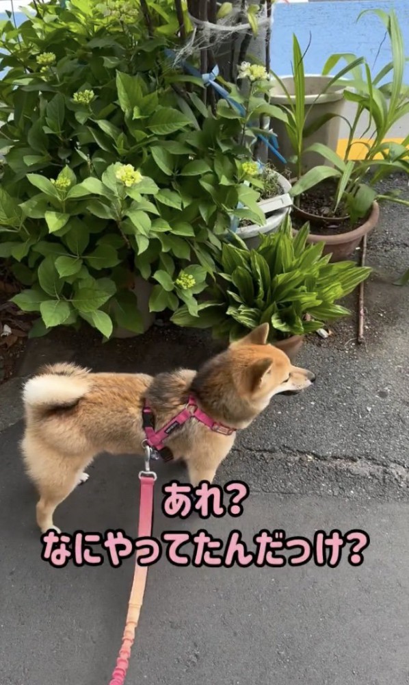 「？？？」