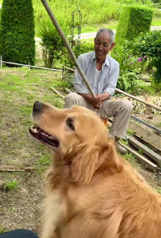 投稿主さんも爆笑♪