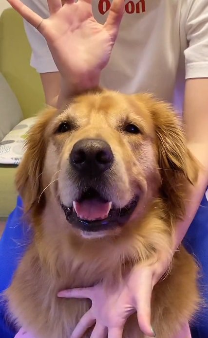 笑顔のベイリーちゃん