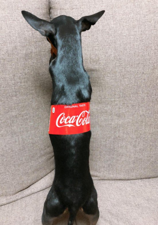 お耳が付いている！！