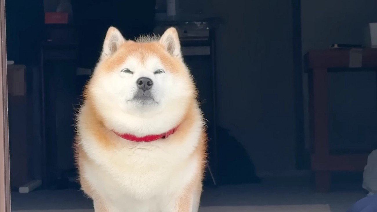 雪見で冬を満喫♡