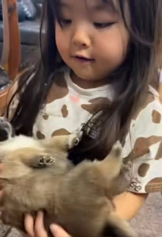 子犬をあやす娘さん