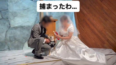 リングドッグに挑戦する大吉くん9