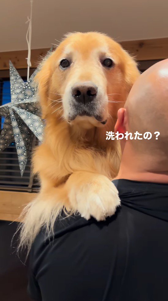 男性に話しかけられる犬