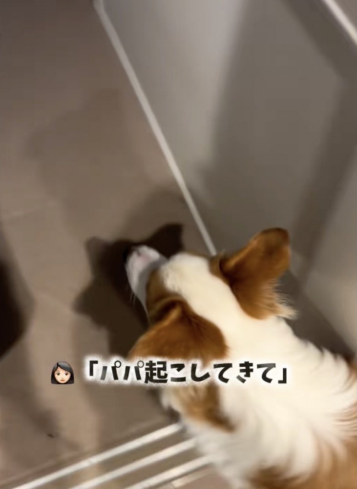 「はーい」