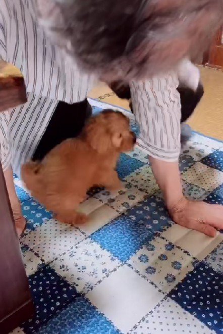 「やっと遊べる～♪」