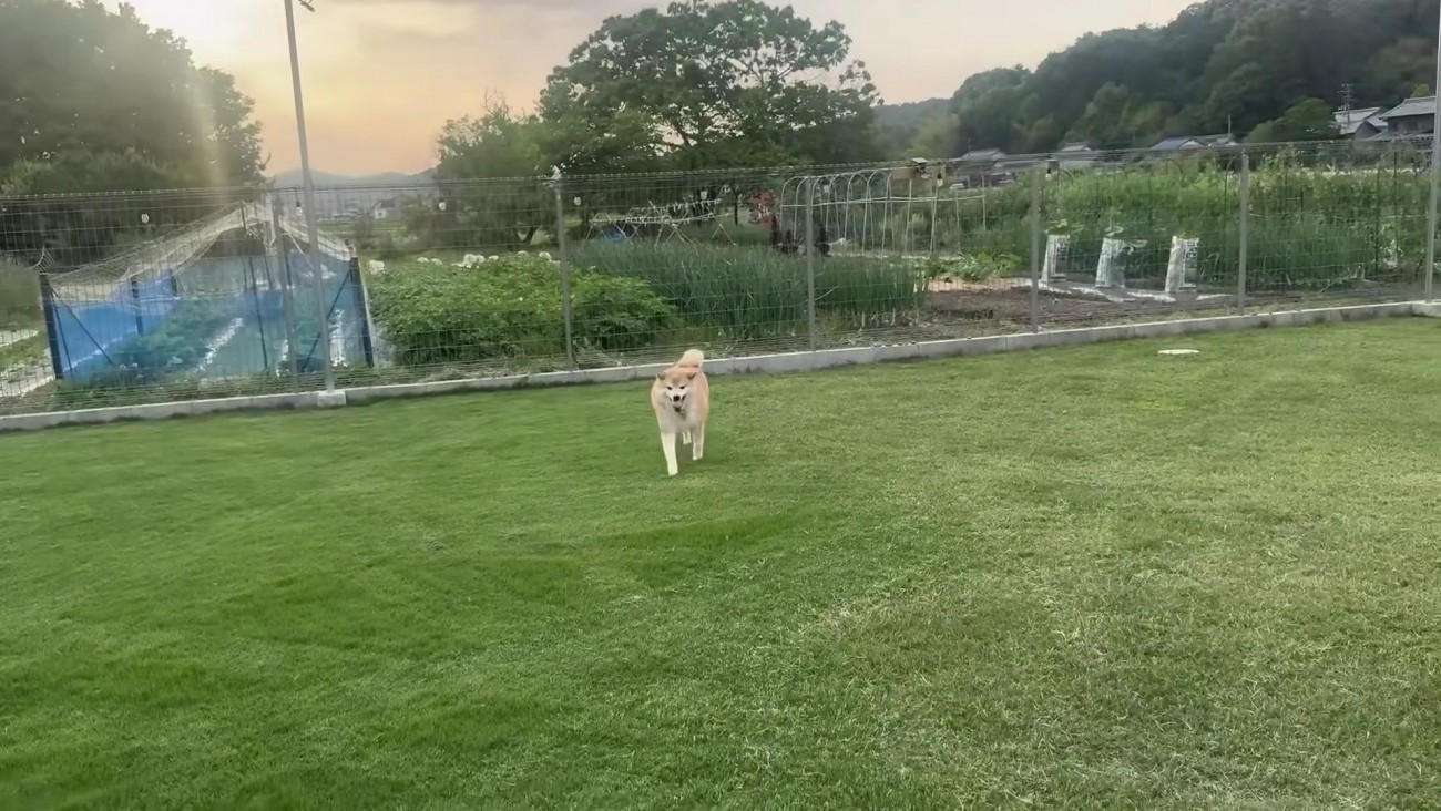 なんとか許してくれました！