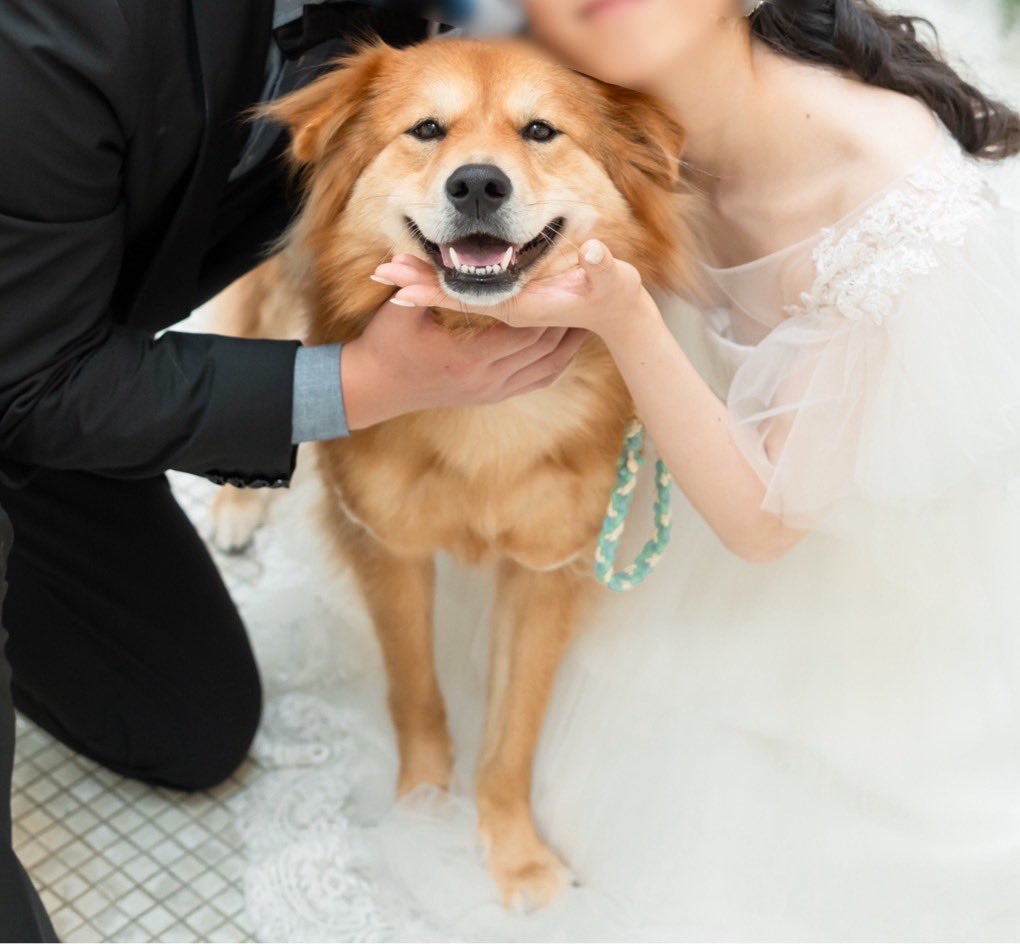結婚式