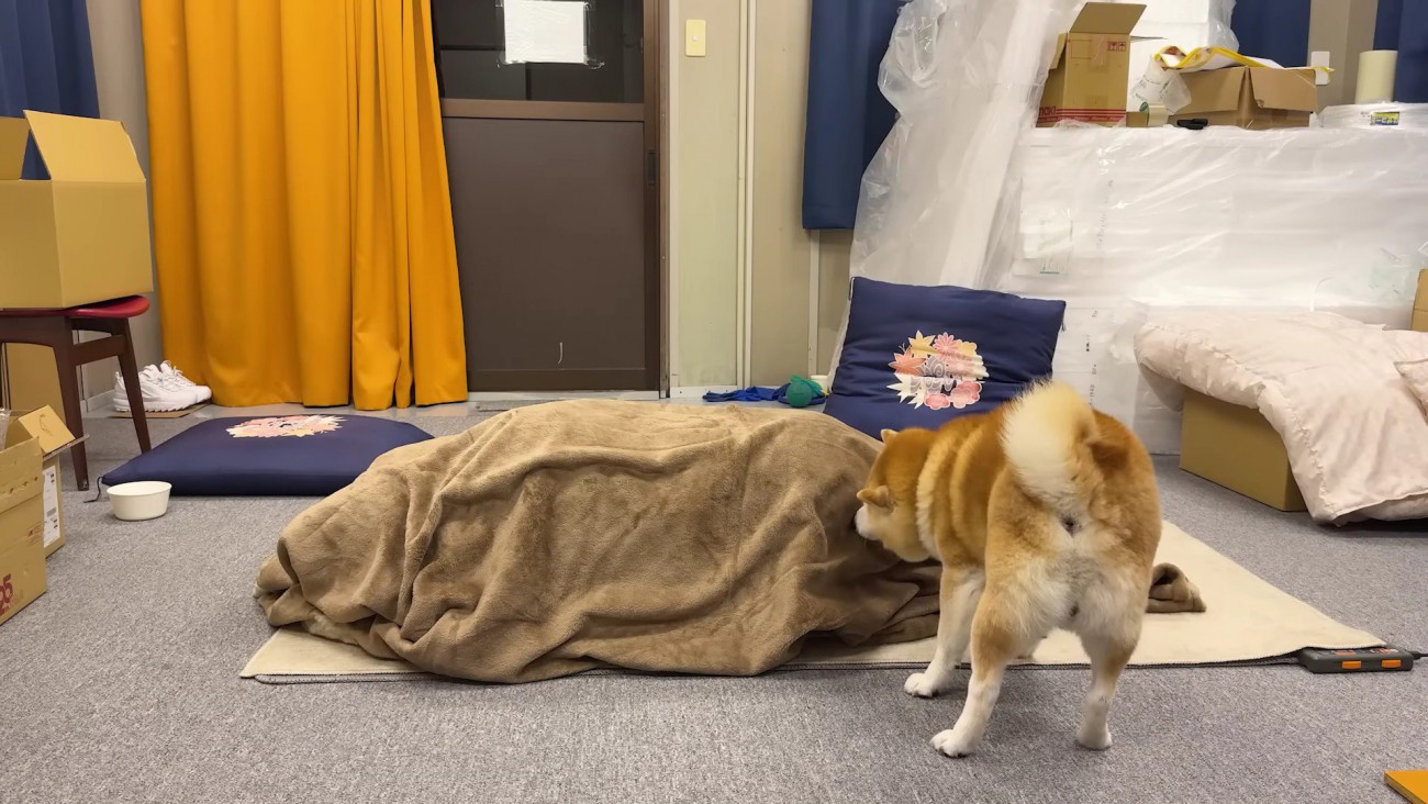 「やっぱりお姉ちゃんだ！！」