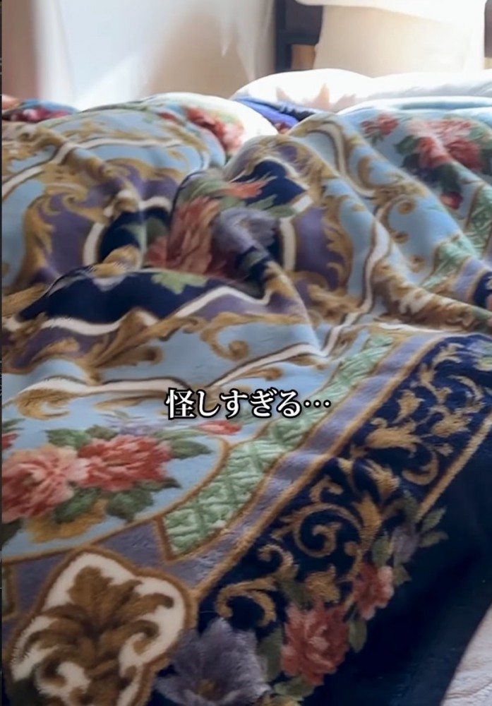 怪しく動く布団