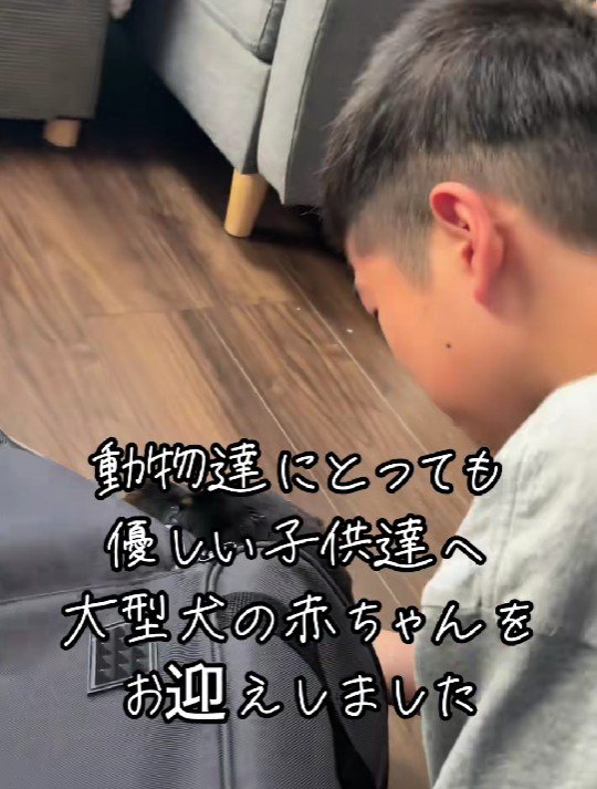 サプライズをプレゼント