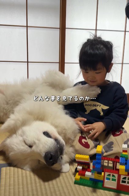 すっかり夢見心地