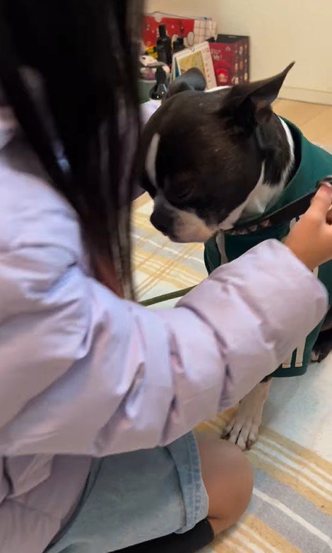 たま君と女の子の成長8