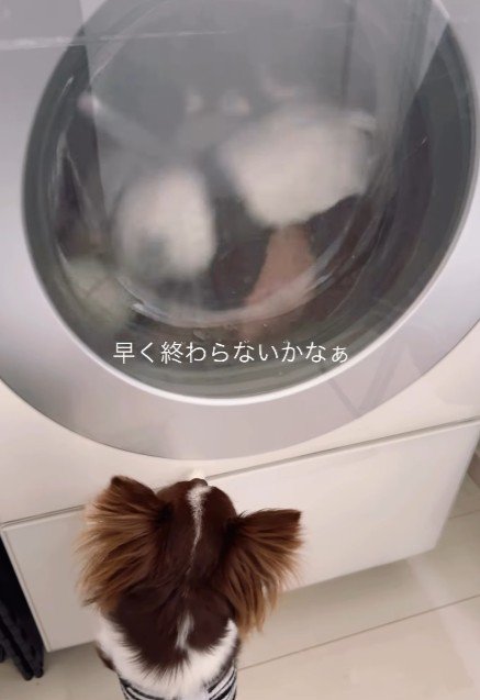 「早く終わらないかな」