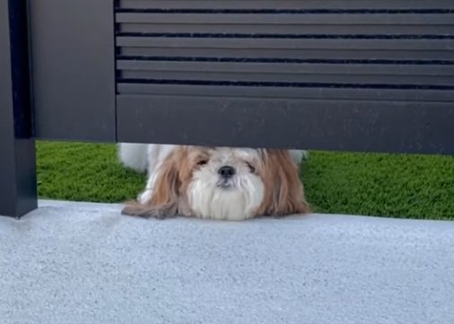 反対側