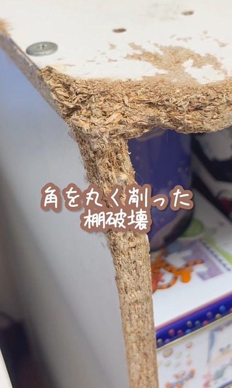 イタズラ好きなたこやきちゃん3