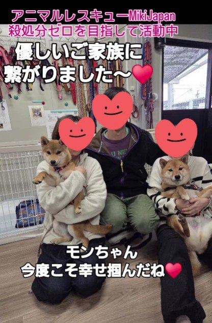 新しい犬生が始まったよ！！