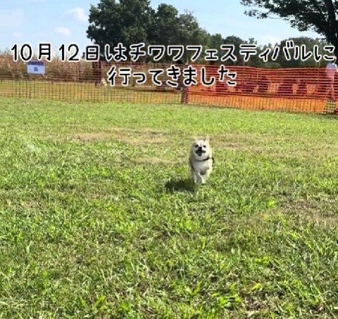 幸せそうな笑顔に涙…