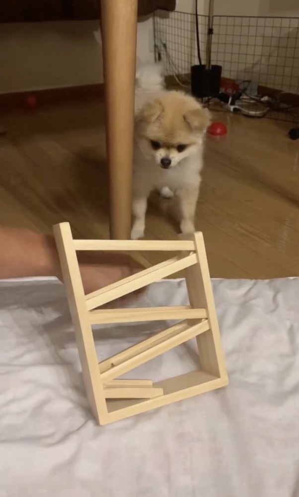 思わず後ずさり