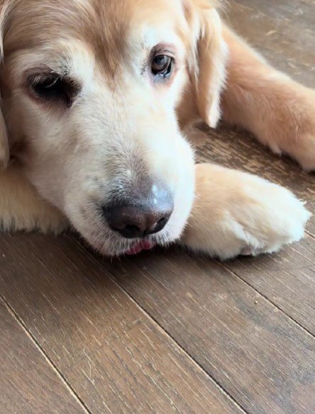 「全然知らない…」