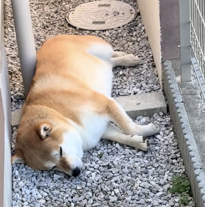 全く起きなさそう。