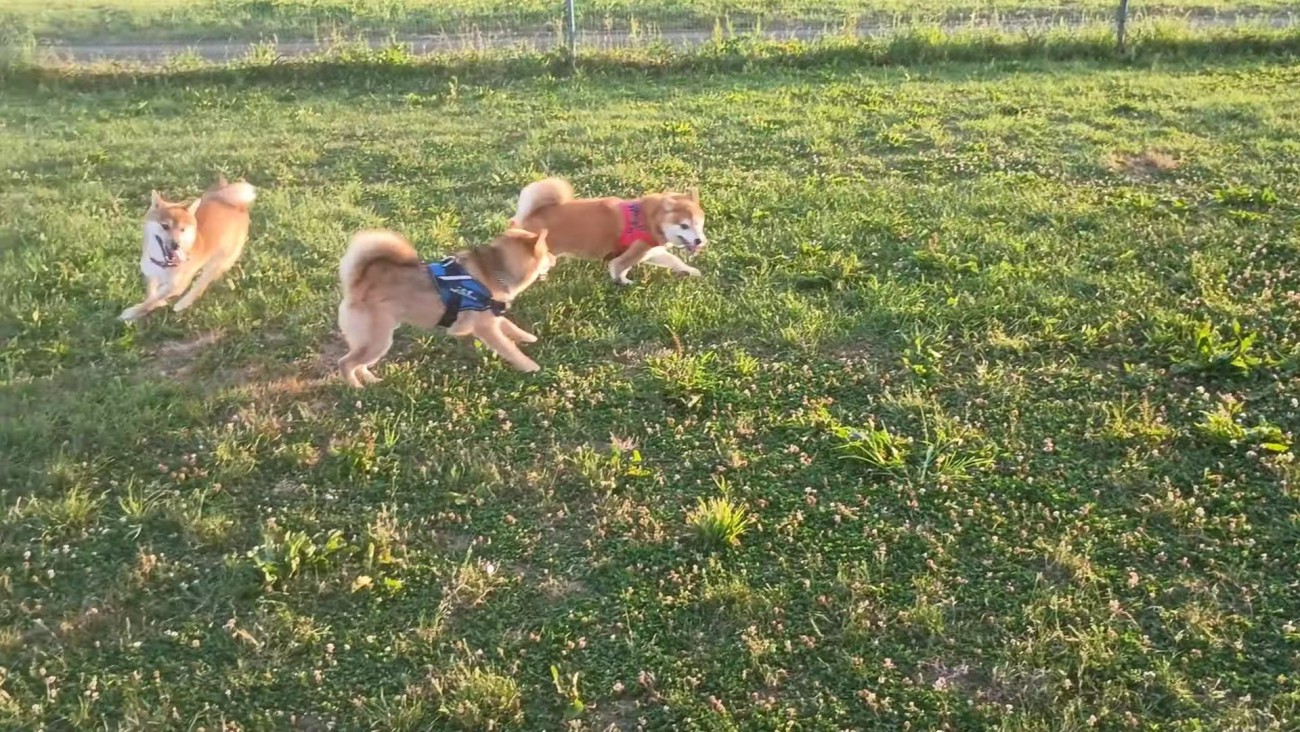 これからも幸せにね！！