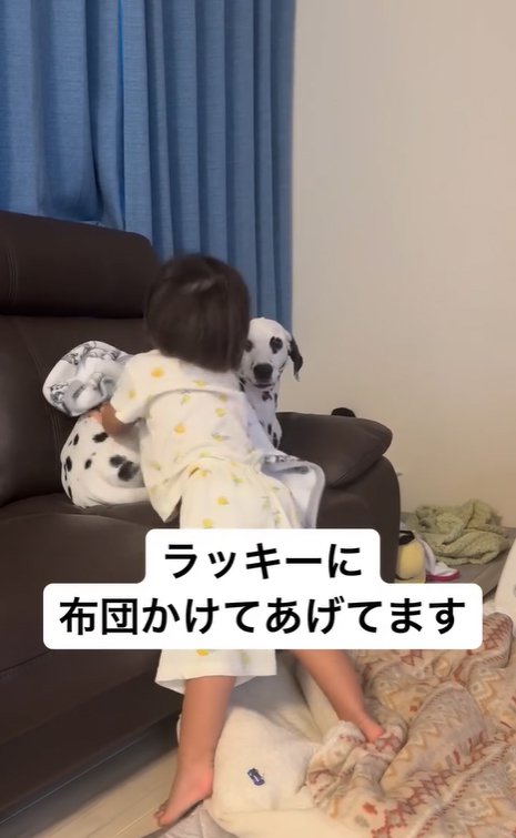 大型犬に布団をかける子供