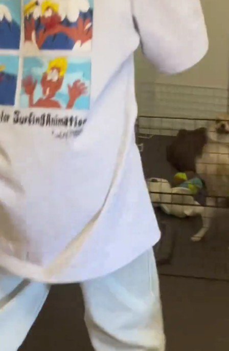 ぱんちちゃんの可愛い特技