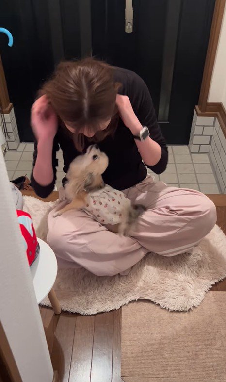 こはくちゃんとお姉ちゃんの再会3